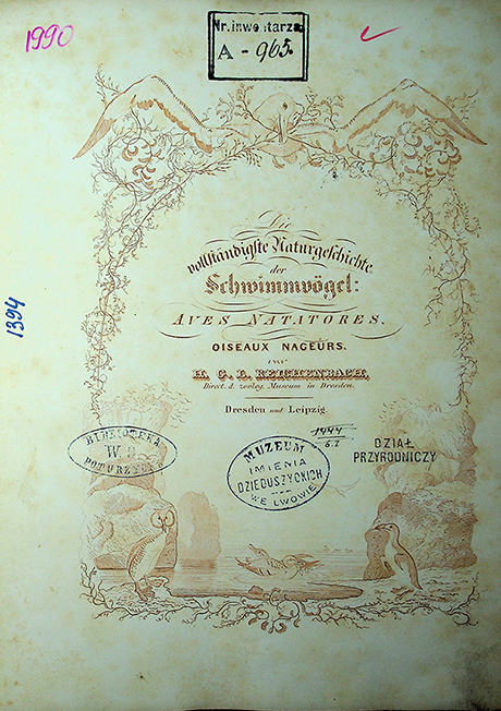 Reichenbach H.G.L. Die vollständigste Naturgeschichte der Schwimmvögel L: Aves Natatores / H.G.L. Reichenbach