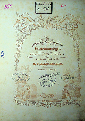 Reichenbach H.G.L. Die vollständigste Naturgeschichte der Schwimmvögel L: Aves Natatores / H.G.L. Reichenbach. – Dresden und Leipzig, []. – 219S.