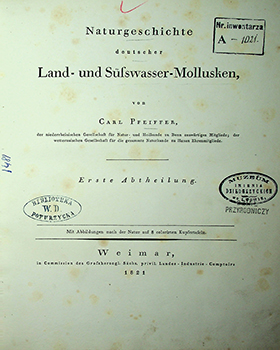 Pfeiffer Carl. Naturgeschichte deutscher Land - und Süßwasser-Mollusken / von Carl Pfeiffer. Erste Abtheilung. – Weimar: in Commision des Grossherzogl. Sachs. privil. Landes - Industrie - Comptoirs, 1821. - [X], 134 S. mit Abbildungen nach der Natur 8 colorirten Kupfertafeln. Zweite Abteilugng. – Weimar: in Verlage des Grossherzogl. Sachs. – privil. Landes - Industrie – Comptoirs, 1825., 40 S. mit Abbildungen nach der 8 colorirten Kupfertafeln.
Dritte Abteilugng. – Weimar: in Verlage des Grossherzogl. Sachs. – privil. Landes - Industrie – Comptoirs, 1828. , 84 S. mit Abbildungen nach der 8 colorirten Kupfertafeln. 1828. – 80S.