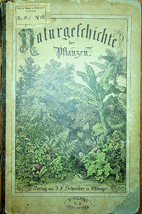 Schubert G.H. Naturgeschichte des Pflanzenreichs, mit 601 Abb. auf 53 Taf. / G.S. Schubert; hrsg. M.Chr. Hochstetter. – Dritte Aufl. – Esslingen, 1869. – IV, 60S.; 53 Taf.