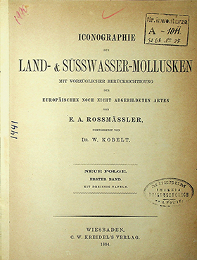 Rossmӓssler E.A. Iconographie Land- & Süsswasser-Molluscken mit Vorzüglicher Berücksichtigung der Europaischen noch nicht Abgebildeten Arten. Neue Folge. Erster Band. Mit Dreissig Tafeln. – 1884. – 72S.