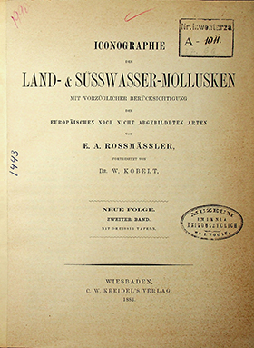 Rossmӓssler E.A. Iconographie Land- & Süsswasser-Molluscken mit Vorzüglicher Berücksichtigung der Europaischen noch nicht Abgebildeten Arten. Neue Folge. Zweiter Band. Mit Dreissig Tafeln. – 1886. 54S.