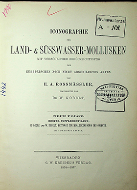 Rossmӓssler E.A. Iconographie Land- & Süsswasser-Molluscken mit Vorzüglicher Berücksichtigung der Europaischen noch nicht Abgebildeten Arten. Neue Folge. Erster Supplement Band. Mit Dreissig Tafeln. – 1895-1897. 54S.