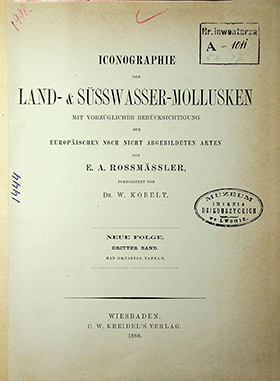 Rossmӓssler E.A. Iconographie Land- & Süsswasser-Molluscken mit Vorzüglicher Berücksichtigung der Europaischen noch nicht Abgebildeten Arten. Neue Folge. Dritter Band. Mit Dreissig Tafeln. – 1888. 58S.