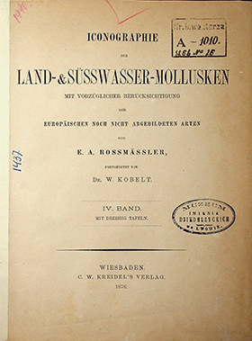 Rossmӓssler E.A. Iconographie Land- & Süsswasser-Molluscken mit Vorzüglicher Berücksichtigung der Europaischen noch nicht Abgebildeten Arten. IV Band. Mit Dreissig Tafeln. – 1876. – 69S.