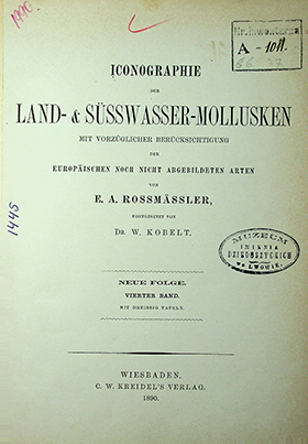 Rossmӓssler E.A. Iconographie Land- & Süsswasser-Molluscken mit Vorzüglicher Berücksichtigung der Europaischen noch nicht Abgebildeten Arten. Neue Folge. Vierter Band. Mit Dreissig Tafeln. – 1890. – 99S.