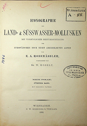 Rossmӓssler E.A. Iconographie Land- & Süsswasser-Molluscken mit Vorzüglicher Berücksichtigung der Europaischen noch nicht Abgebildeten Arten. Neue Folge. Fünfter Band. Mit Dreissig Tafeln. – 1892. – 113S.