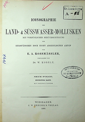 Rossmӓssler E.A. Iconographie Land- & Süsswasser-Molluscken mit Vorzüglicher Berücksichtigung der Europaischen noch nicht Abgebildeten Arten. Neue Folge. V Band. Mit Dreissig Tafeln. – 1884. – 72S.